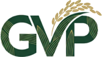 GVP Enterprises LLP